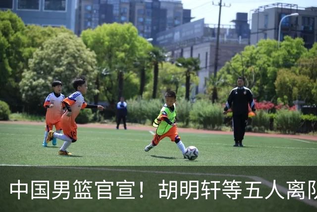 中国男篮官宣！胡明轩等五人离队，增补曾凡博等三人入队，无周琦和赵睿