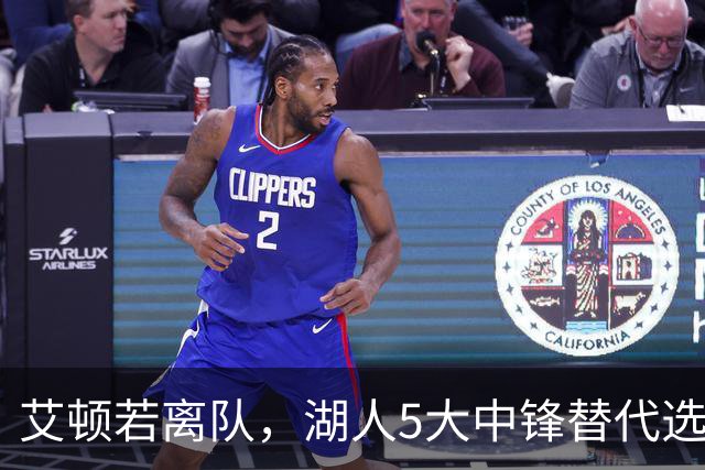 艾顿若离队，湖人5大中锋替代选择，谁才是最佳人选？