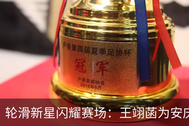 轮滑新星闪耀赛场：王翊菡为安庆市赢得省级荣誉！