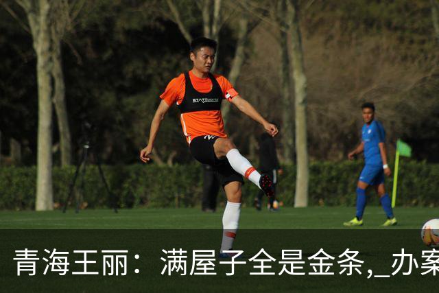 青海王丽：满屋子全是金条, 办案人员数到手抖, 丈夫受不了提前离场